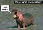 image of hippo saying "I said Hippie!"