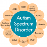 autism spectrum