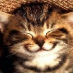 smiling cat