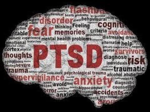 PTSD brain