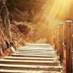 wooden steps leading down