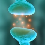 blue neurons communicating